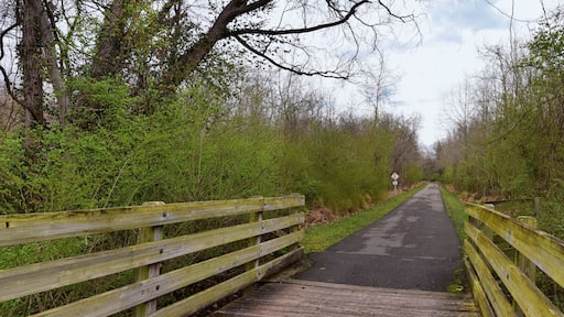 Views of Bridges and Pathways along the Shelby Bottoms Greenway and Natural Area Cumberland River frontage trails, bottomland hardwood forests, open fields, wetlands, and streams, Nashville, Tennessee
