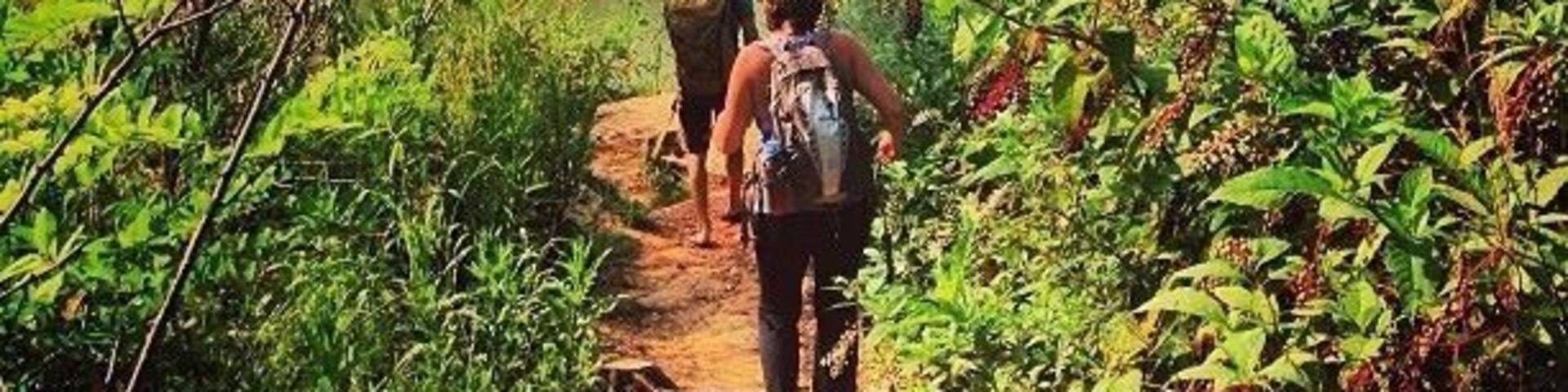 Kings bluff is a great location for beginner rock climbers. It has a ton of short routes of all different levels. Plus you are right at water edge.