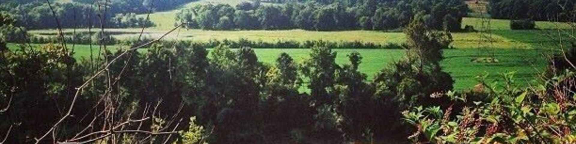 Kings bluff is a great location for beginner rock climbers. It has a ton of short routes of all different levels. Plus you are right at water edge.