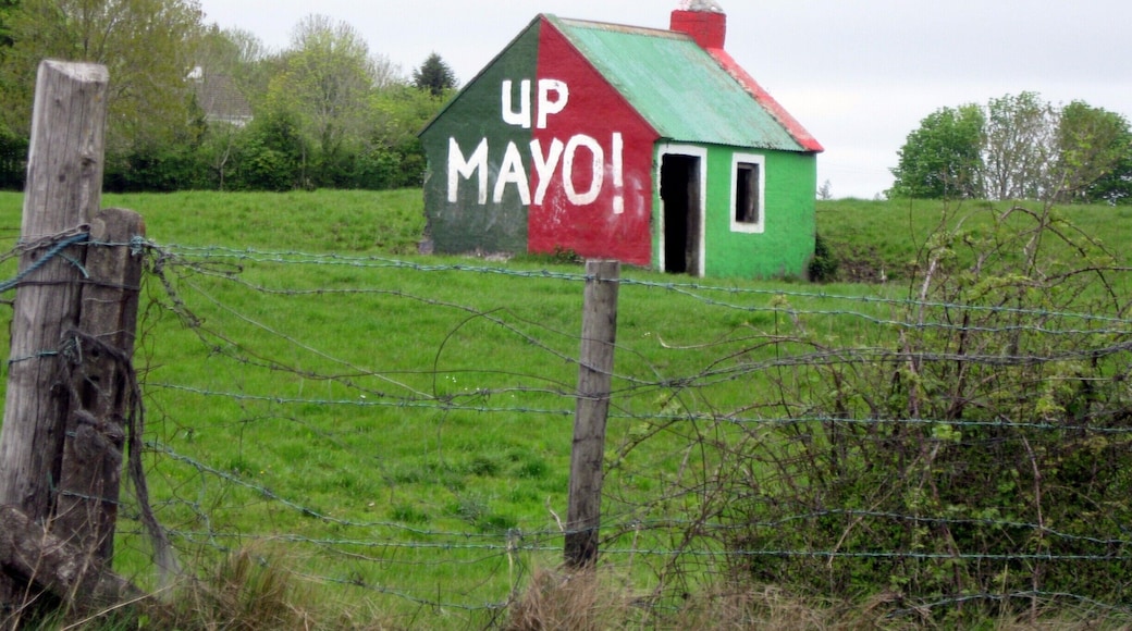 We spent 21 days in Ireland in 2013 and it coincided with the Irish Football Championships. You knew when you were driving into a new county by all the county flags that were displayed. In County Mayo the colors are Green & Red ( see https://www.youtube.com/watch?v=tfbECCadKfQ ) as witnessed by this Farm Building we spotted.