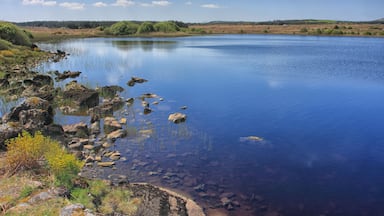 blue lake over blue sky, castlebar mayo Ireland ; Shutterstock ID 754030834; purchase_order: -; Order: -; client: -; job: -
