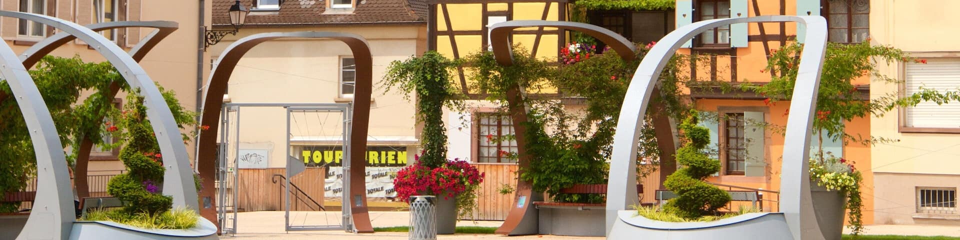 Colmar showing a city