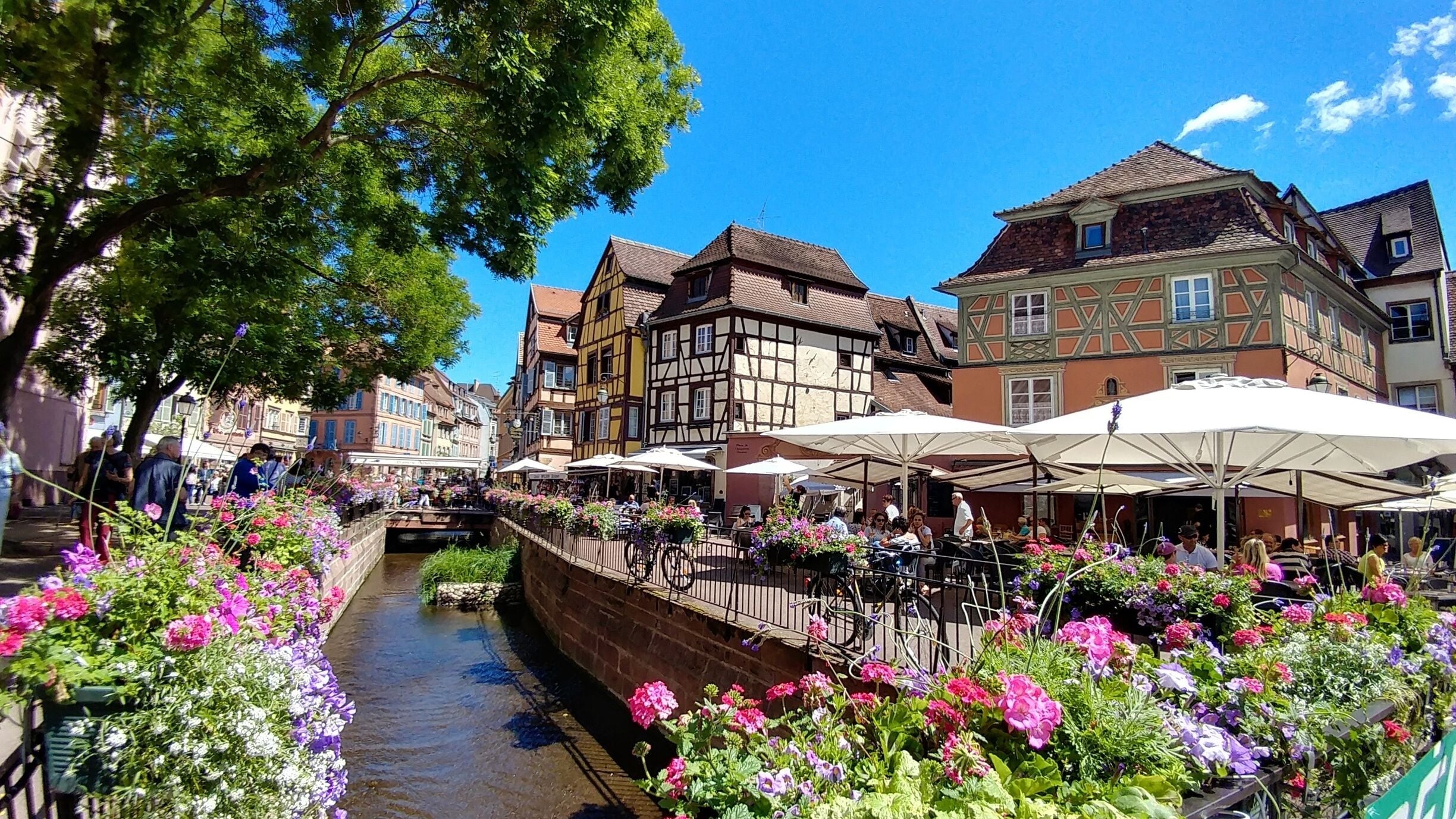 Apparently Colmar is the inspiration for the town in Howl's Moving Castle by Hayao Miyazaki

#wewhotravel #lifeatexpedia #colmar #france #littlevenice #petitevenise