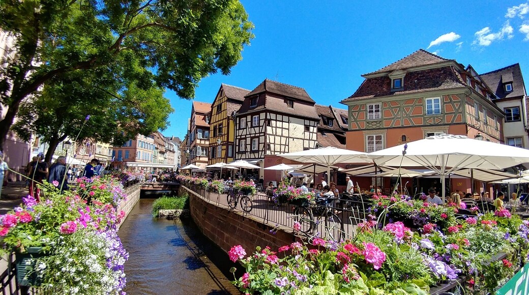 Apparently Colmar is the inspiration for the town in Howl's Moving Castle by Hayao Miyazaki
#wewhotravel #lifeatexpedia #colmar #france #littlevenice #petitevenise