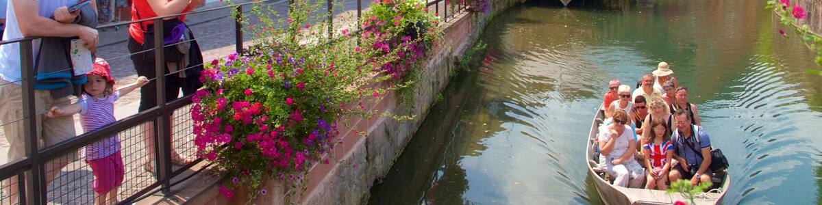 Colmar featuring a city, boating and flowers