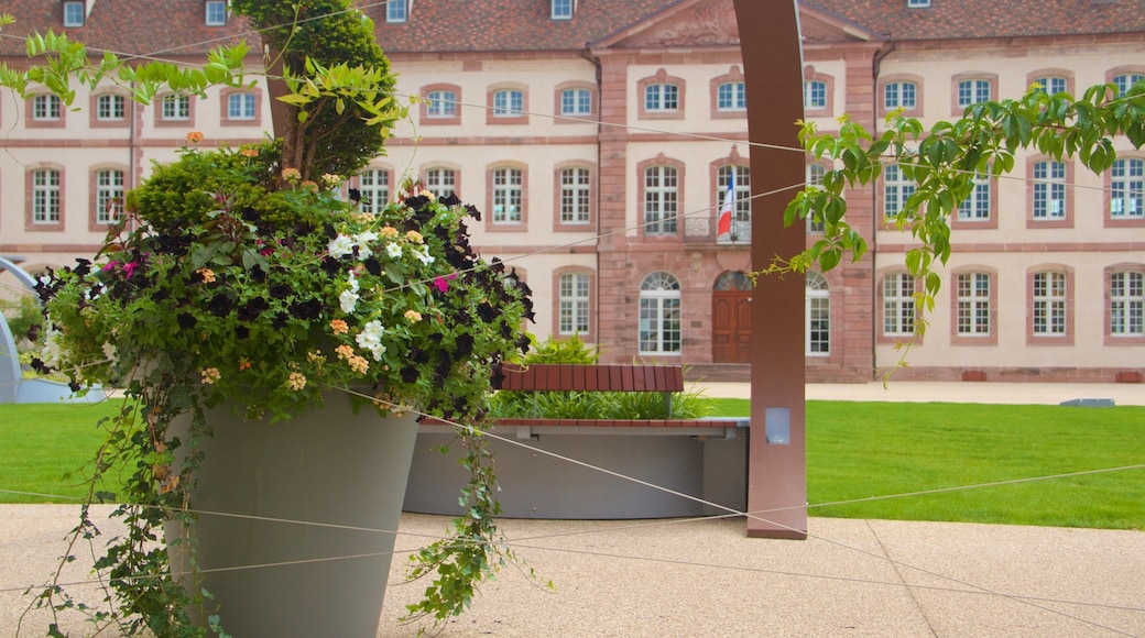 Colmar mostrando flores, um jardim e elementos de patrimônio