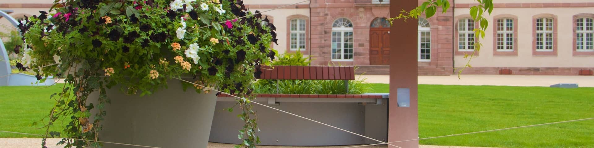 Colmar showing flowers, heritage elements and a park