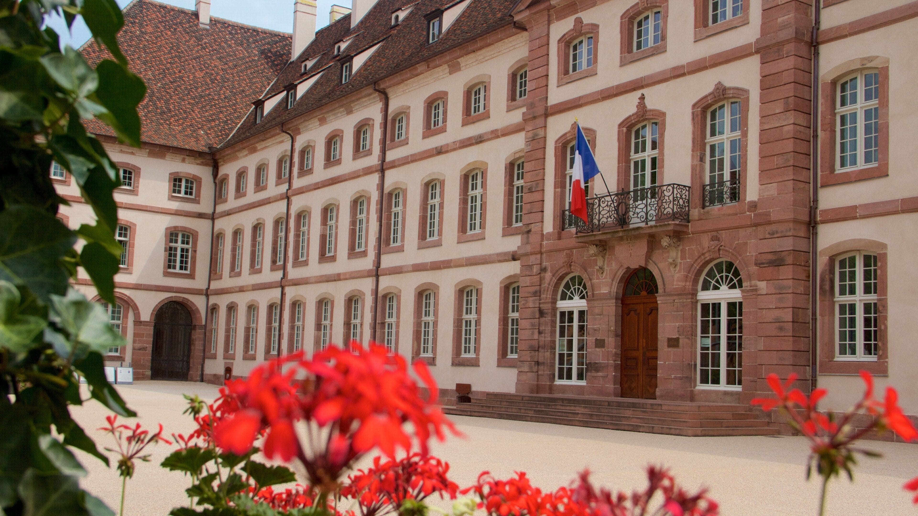 Colmar que inclui flores