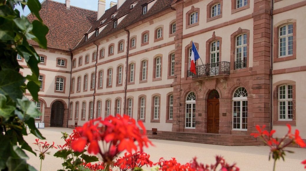 Colmar que inclui flores