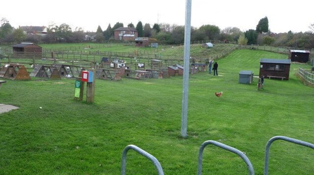 Woodgate Valley Urban Farm Visitors enjoy the freerange hens, the potbellied pigs and other livestock at this well kept urban farm.