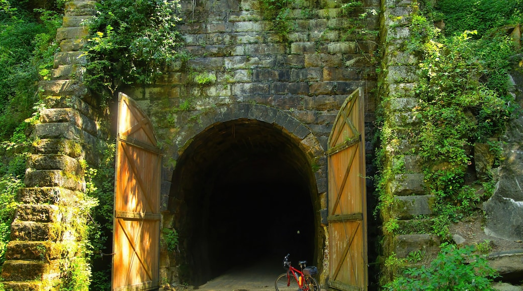 Large wooden doors stand at the entrance to one of three former train tunnels now used for recreation as the Elroy-Sparta State Trail near Sparta, WI.