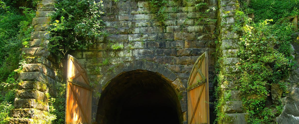 A stone archway tunnel with wooden doors, a bicycle, and greenery.