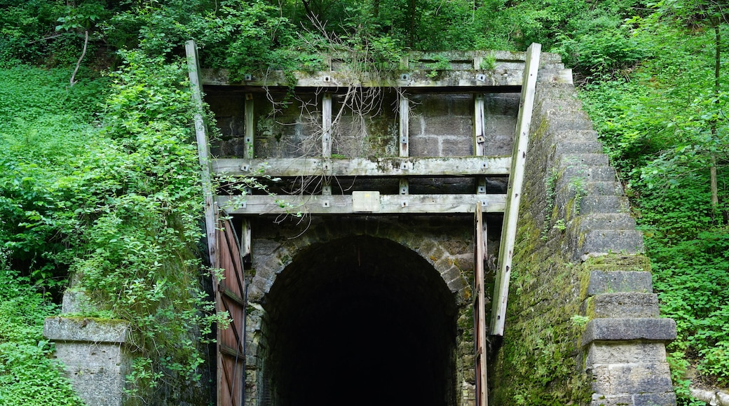 Old train tunnel on Elroy to Sparta Wisconsin nature bike trail.
