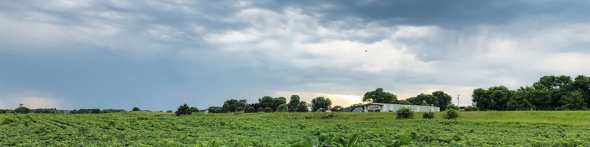Rural Wisconsin where you can witness how greens and blues play their drama during summer time. #Nature