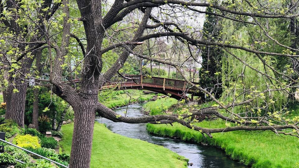 A river with a wooden bridge, surrounded by lush greenery and trees.