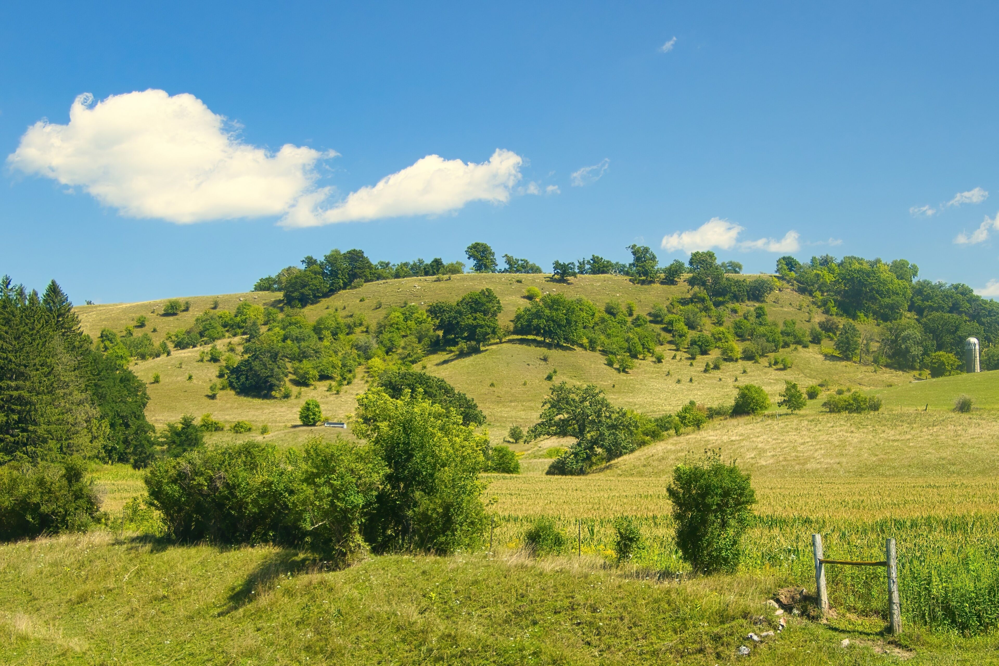 Under a blue summer sky with puffy white clouds, rolling green farm fields dotted with trees dominate the rural landscape near Sparta, WI.