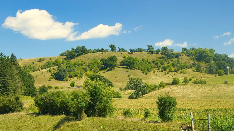 Rolling hills with scattered trees and a clear blue sky.