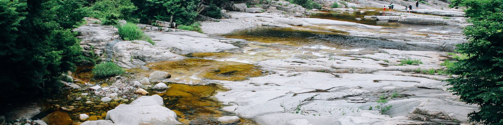 Mureung Valley and forest in Donghae, Korea