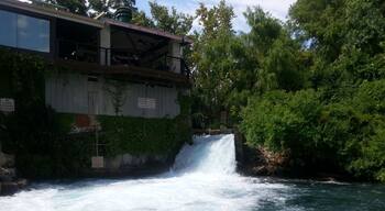 One of the best places to swim in Texas. Perfect for young adults that want to showcase their daring dives.