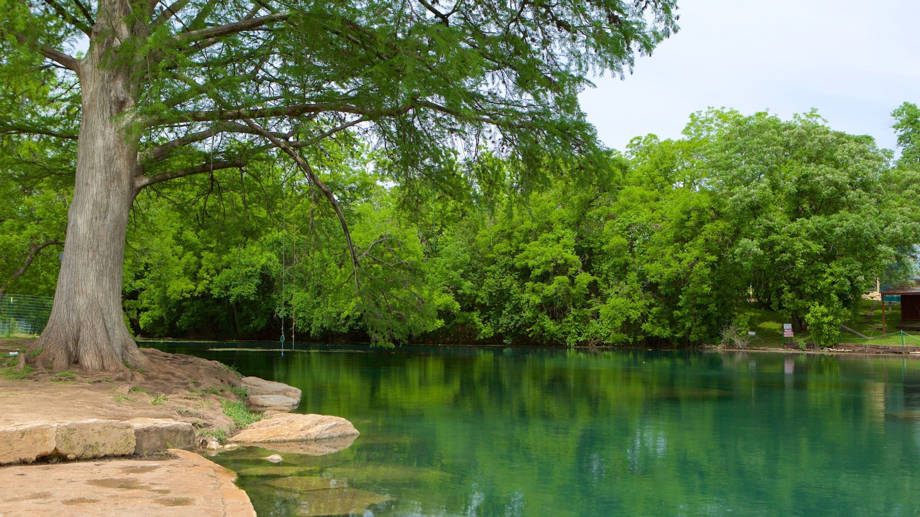 San Marcos que incluye un río o arroyo, un parque y selva