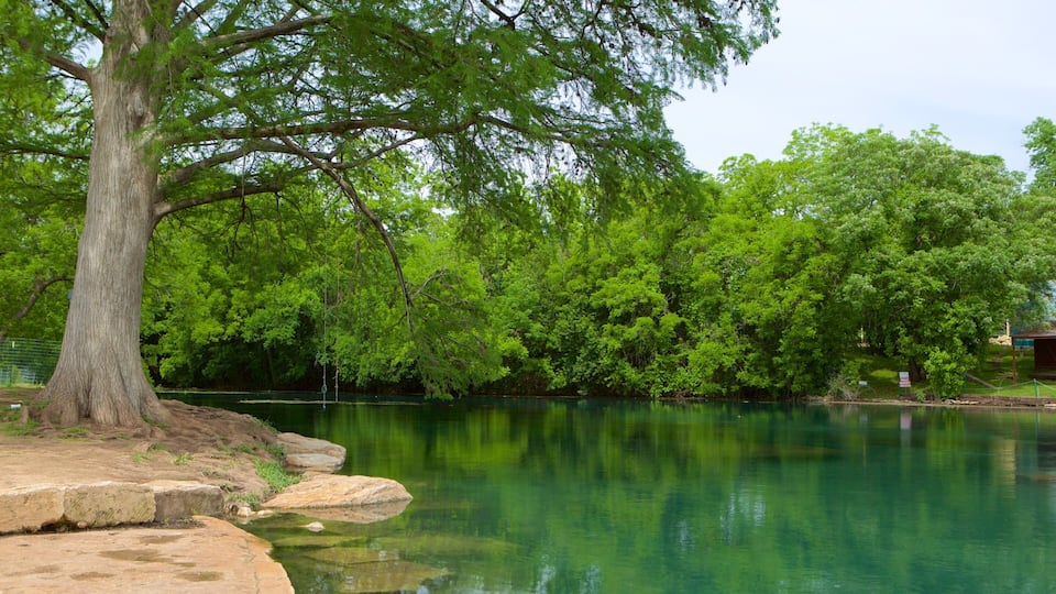 San Marcos which includes a park, a river or creek and rainforest