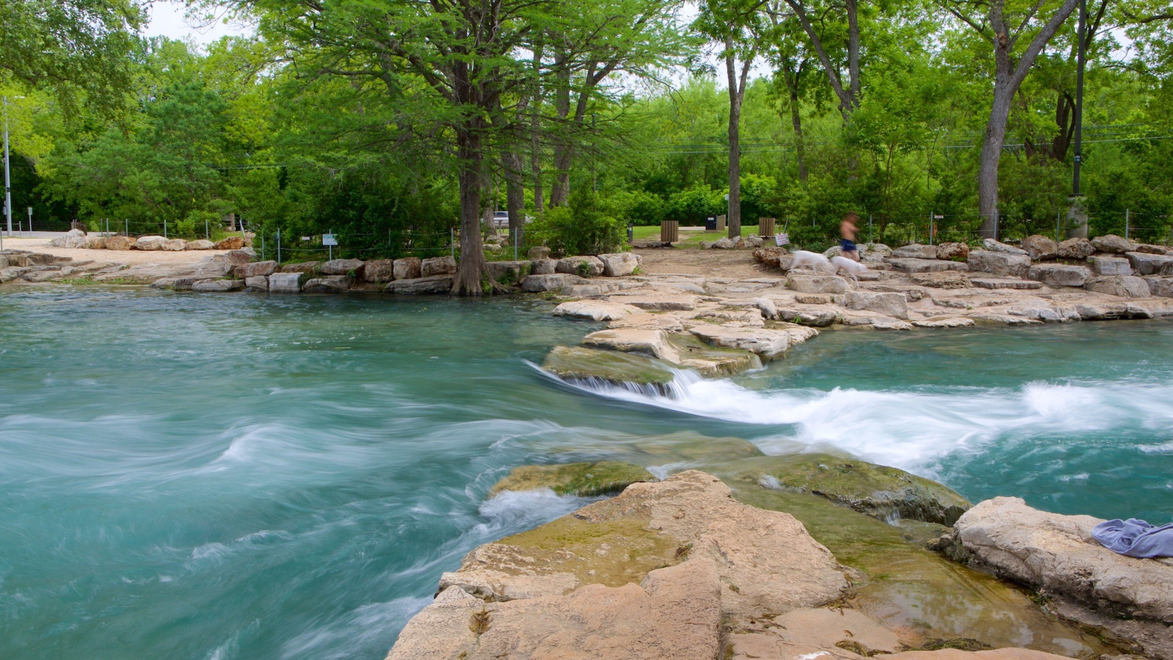 San Marcos mostrando un río o arroyo y bosques