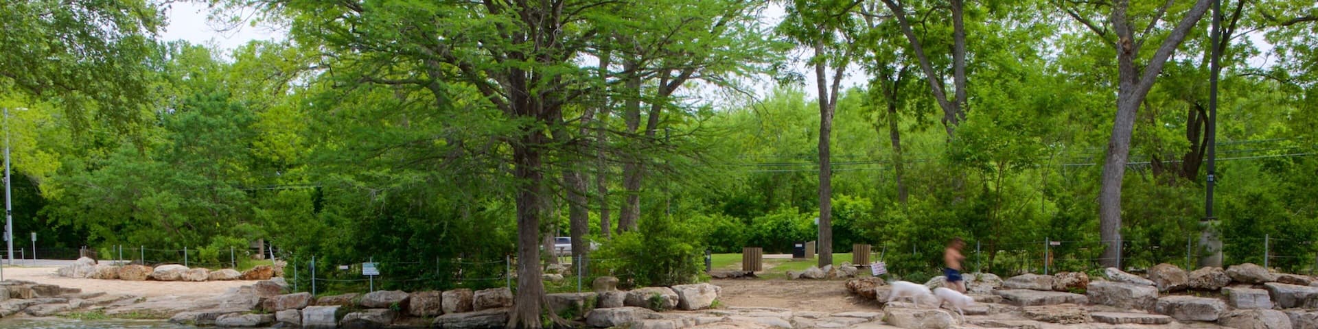 San Marcos mostrando un río o arroyo y bosques