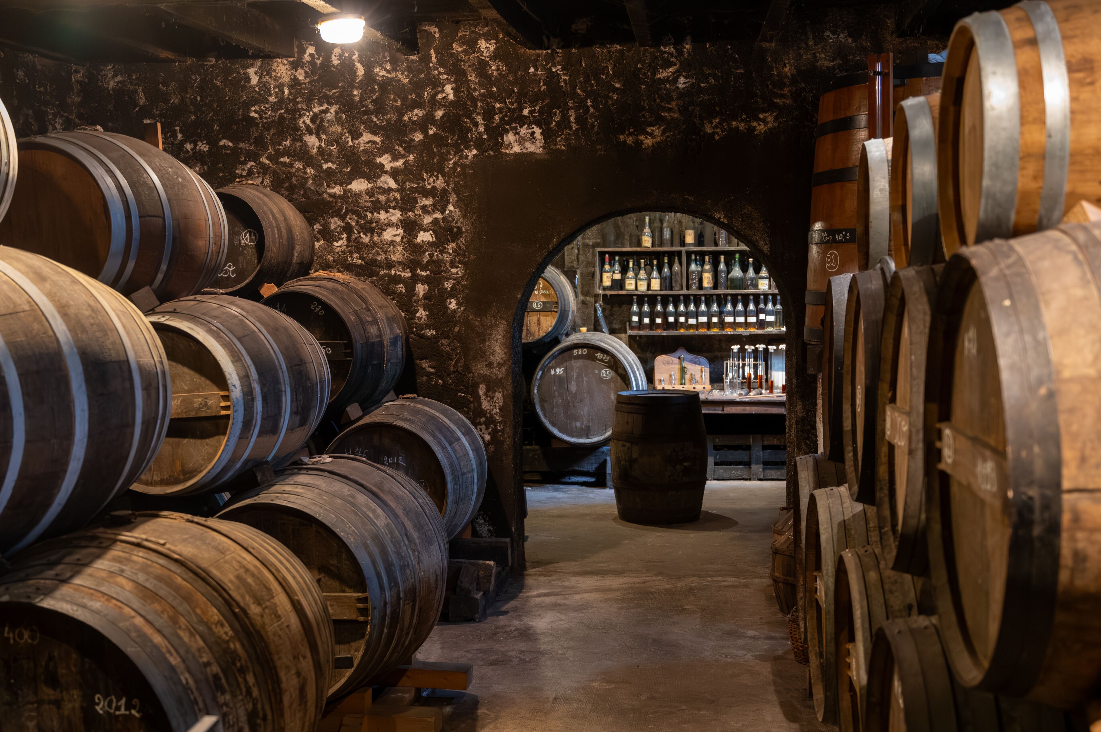 A cellar with wooden barrels and a wine rack in the background.