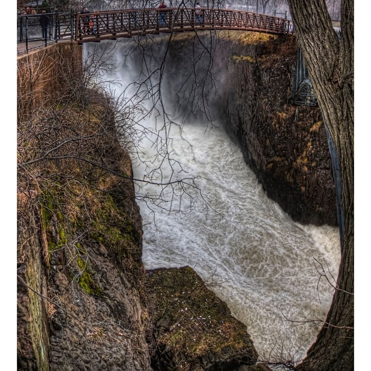 A waterfall cascading over a rocky cliff, a wooden bridge crossing above, and a tree trunk in the foreground.