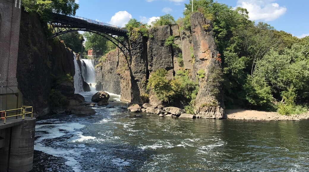 Great find in the middle of an urban city!