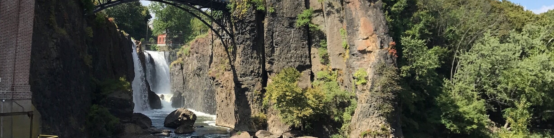 Great find in the middle of an urban city!