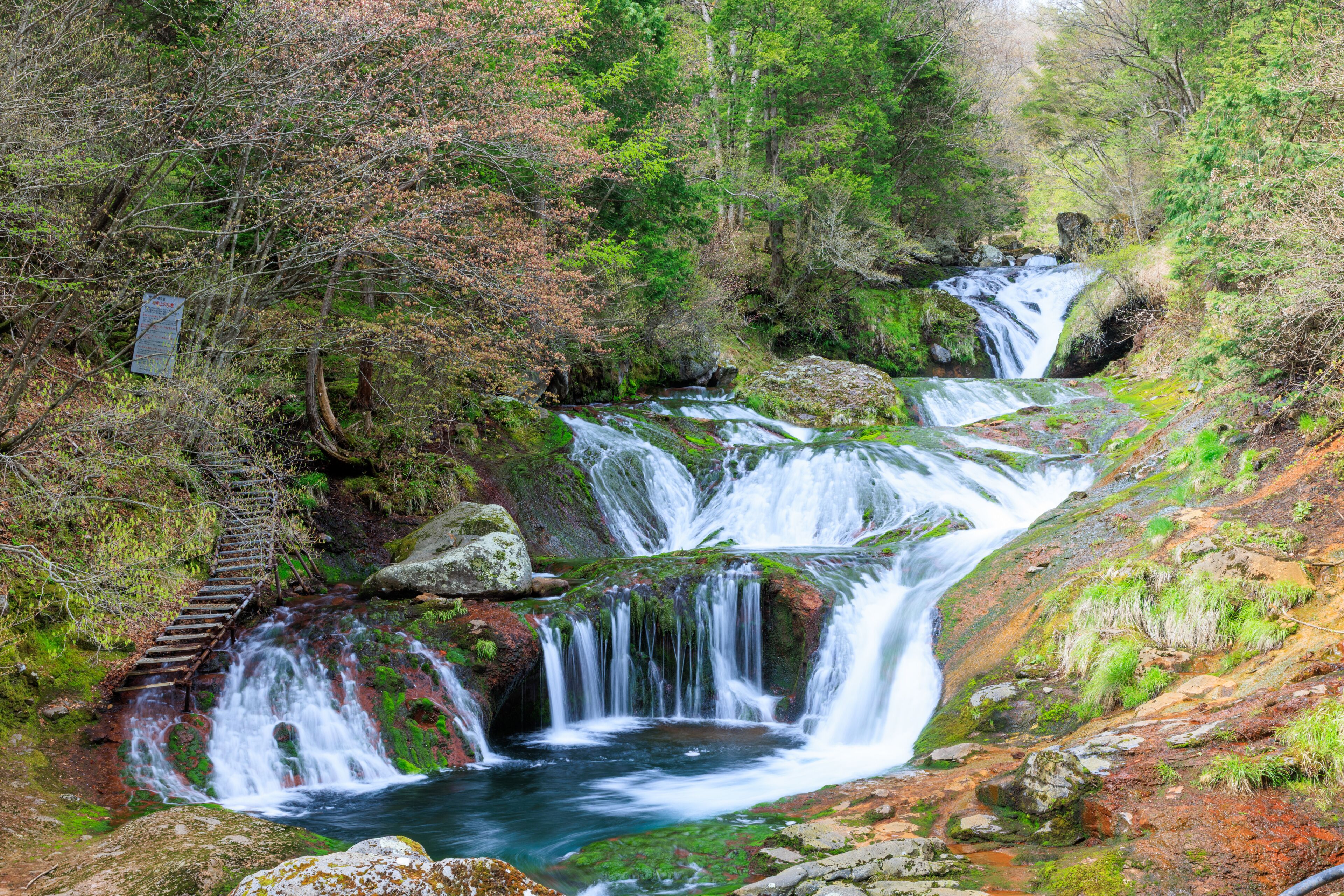初夏のおしどり隠しの滝　長野県茅野市　Oshidorigakushi Falls in early summer. Nagano Pref, Chino City.