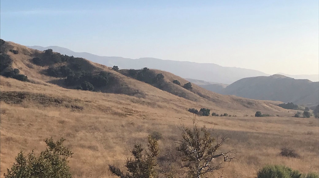 Serene Chino Hills State Park