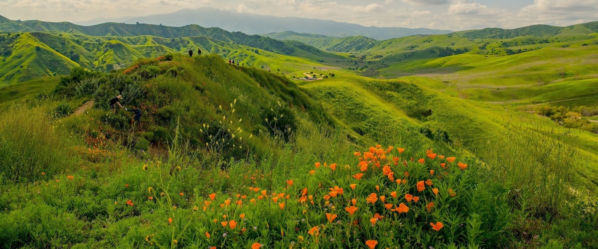 Rolling green hills, a clear sky, and a distant mountain range.