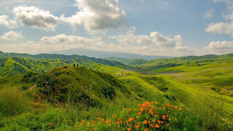 Colinas verdes y onduladas, cielo despejado y una cadena montañosa distante.