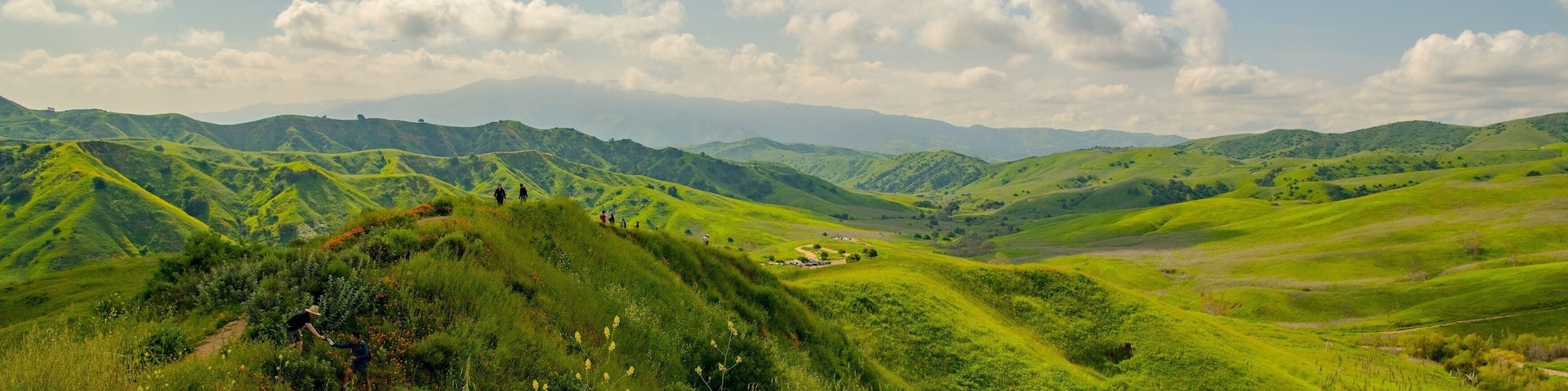 Des collines verdoyantes à perte de vue, un ciel dégagé et une chaîne de montagnes lointaine.