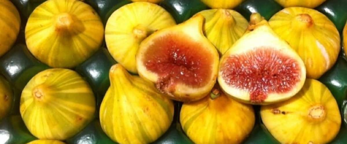 #farmersmarketfinds #eatfresh #fun #figs #naturescandy #yum #Mmm