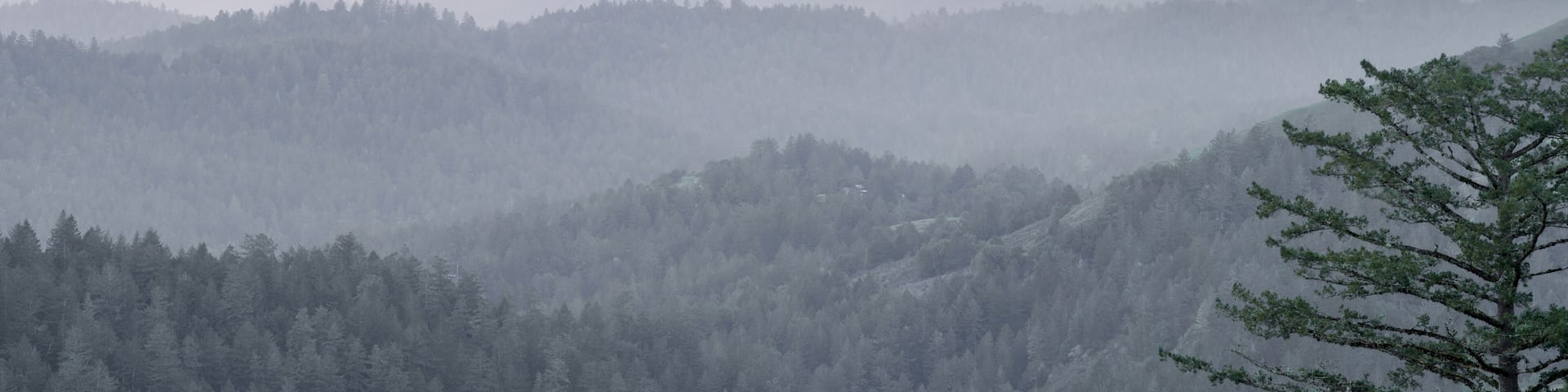 Magical Sunset Panorama over Santa Cruz Mountains. Russian Ridge Open Space Preserve. San Mateo County, California, USA.