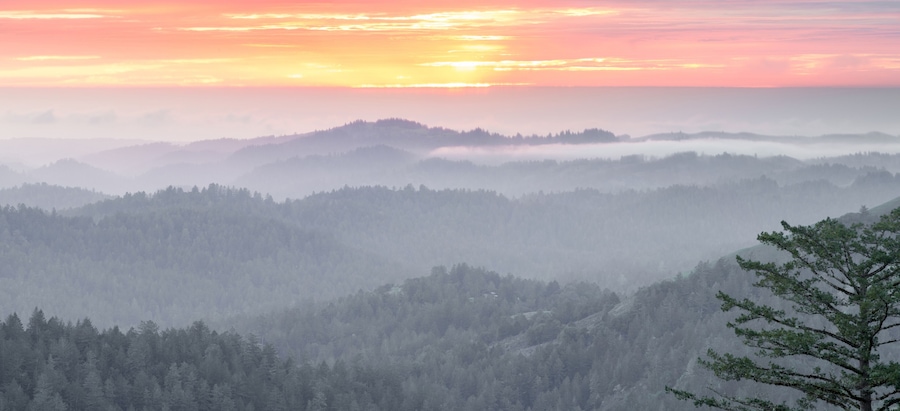 Magical Sunset Panorama over Santa Cruz Mountains. Russian Ridge Open Space Preserve. San Mateo County, California, USA.