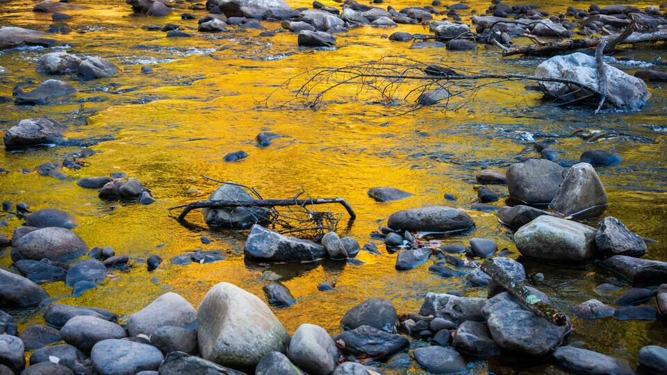 Worlds End State Park, State park in Pennsylvania
