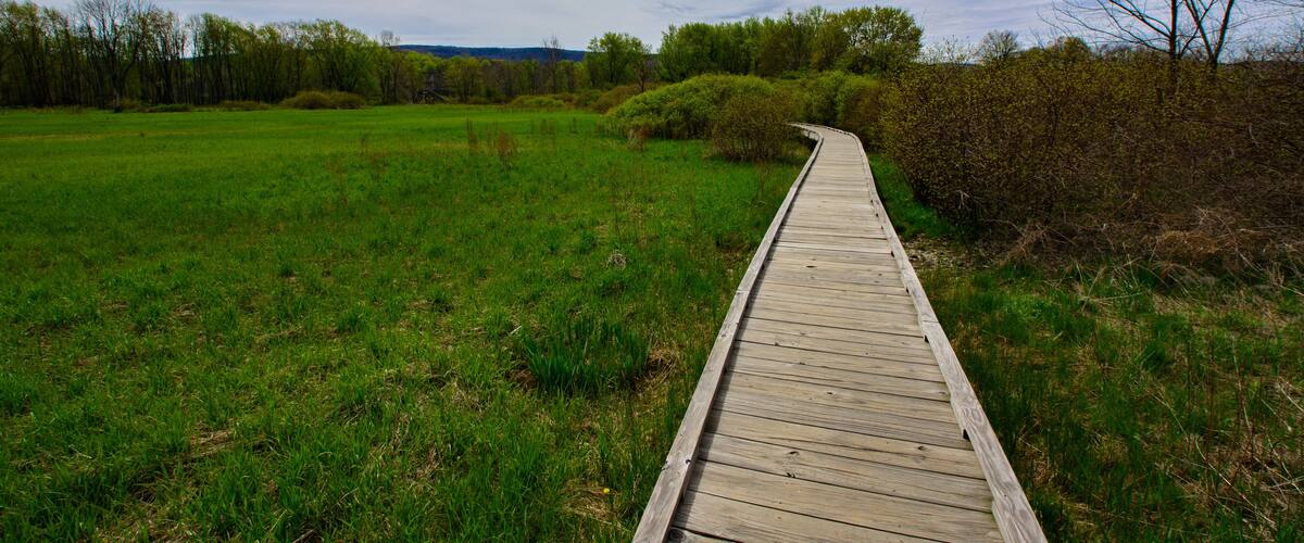 Appalachian Trail Vernon New Jersey