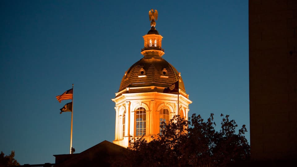 A lit-up building with a dome and an eagle statue on top, surrounded by trees.