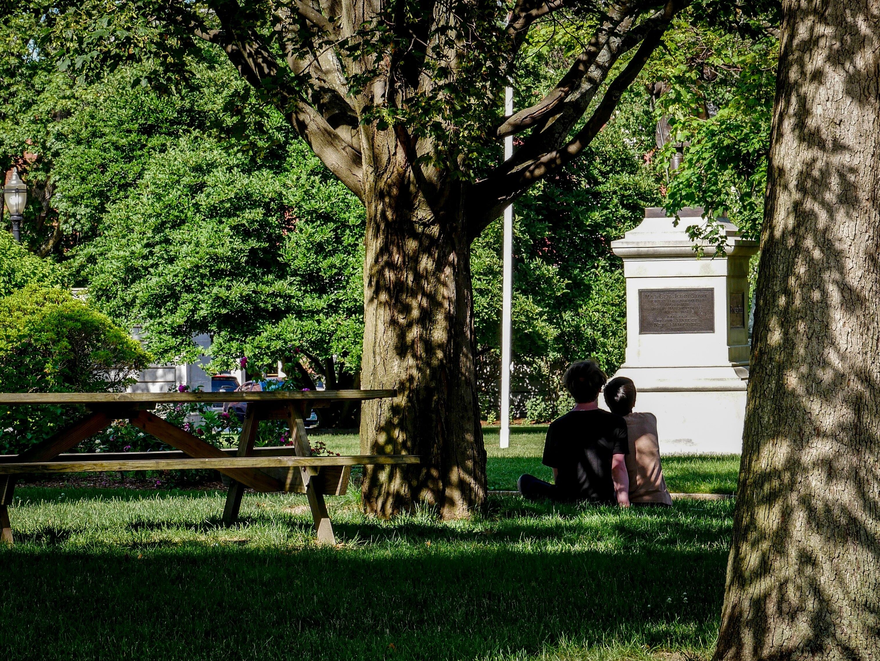 Un parque con un árbol grande, un banco y un monumento.