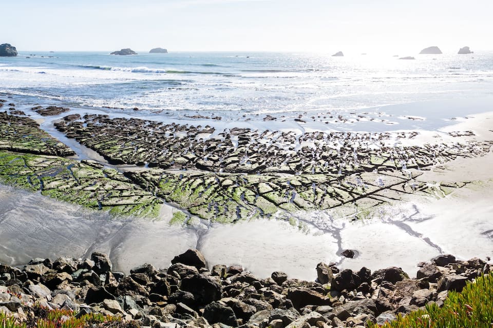 A rocky shoreline with tidal pools and a sandy beach.