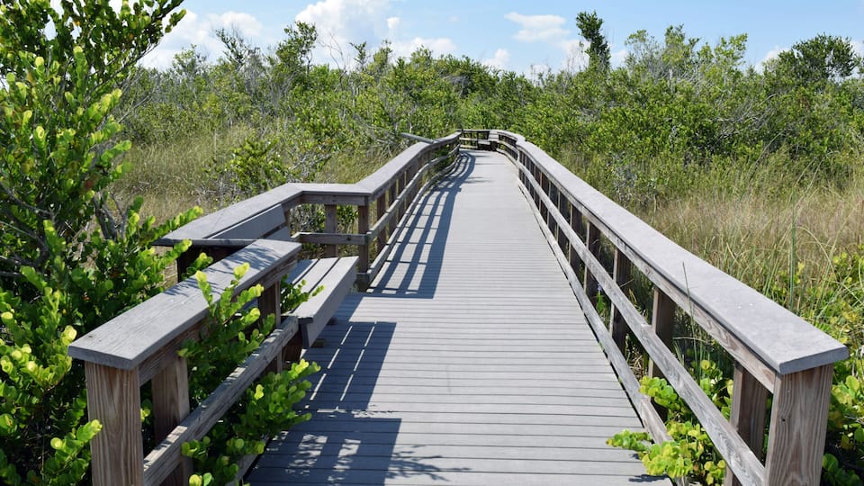Boardwalk in Shark Valley Park