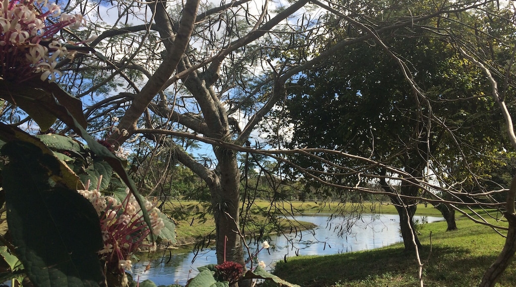 Coral Springs, Florida...I live here!