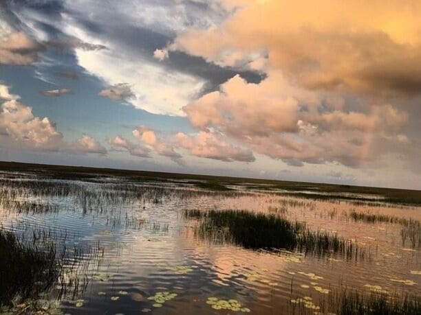 Beautiful evening airboat ride 