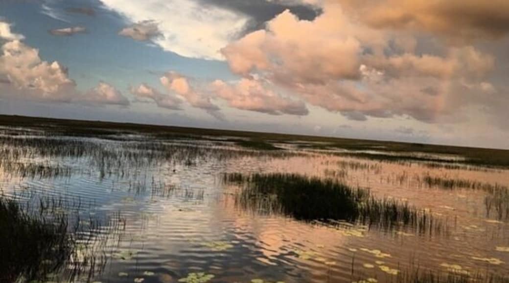 Beautiful evening airboat ride