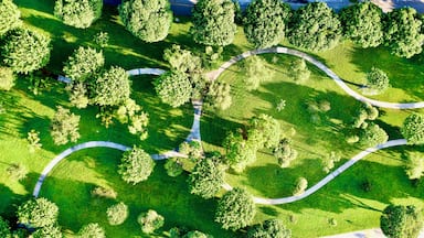 Aerial view of a beautiful green park in Fort Lauderdale, Florida