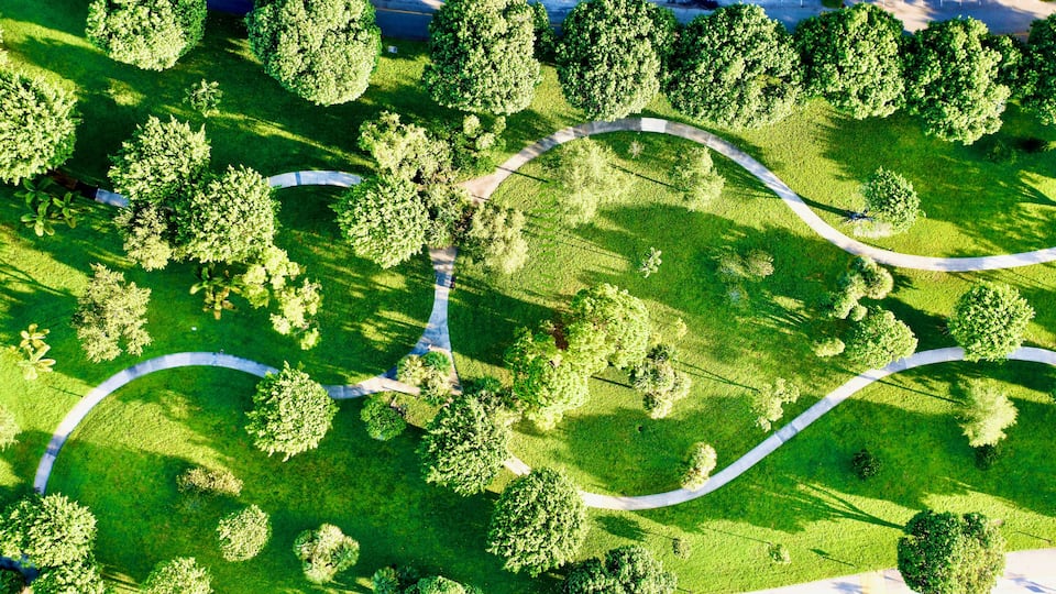 Aerial view of a beautiful green park in Fort Lauderdale, Florida
